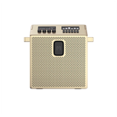 BT Speaker Medium Brass